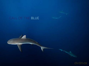 Call of the Blue - Philip Hamilton [KSIĄŻKA]