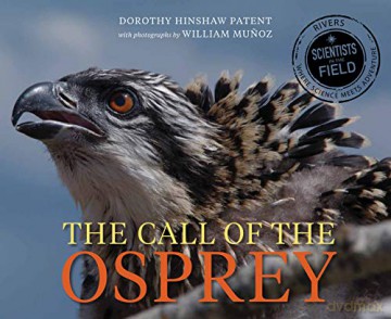 Call of the Osprey Scientists in the Field Paperback - Patent Dorothy Hinshaw Patent [KSIĄŻKA]