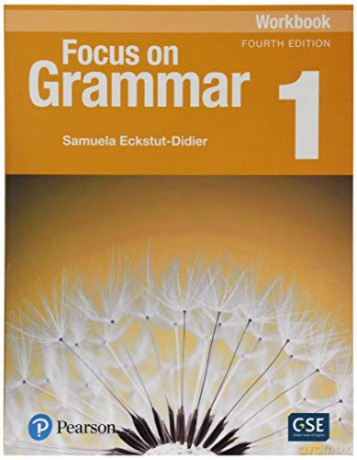 Focus On Grammar 1 Workbook - Irene Schoenberg [KSIĄŻKA]