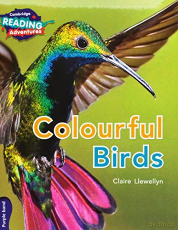 Cambridge Reading Adventures Purple Band Pack - Jon Hughes [KSIĄŻKA]