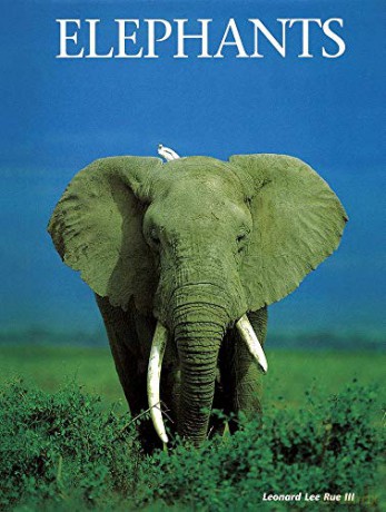 Elephants (Animals In The Wild) - Leonard Lee Rue [KSIĄŻKA]