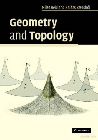 Geometry And Topology - Miles Reid [KSIĄŻKA]