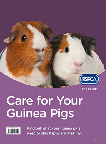 Care for Your Guinea Pigs RSPCA Pet Guide - Rspca [KSIĄŻKA]