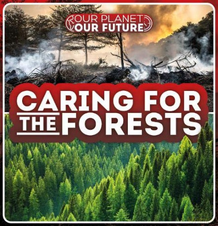 Caring for the Forests Our Planet, Our Future - Azra Limbada [KSIĄŻKA]