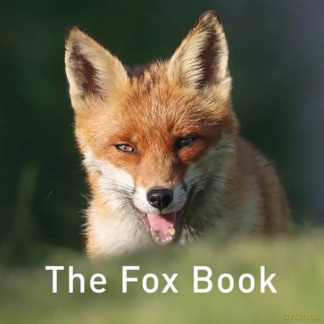 The Fox Book (Nature Book) - Jane Russ [KSIĄŻKA]