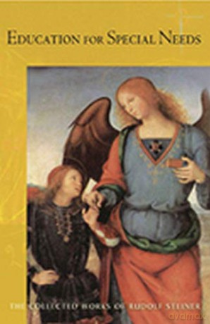 Education For Special Needs: The Curative Education Course: 317 (Collected Works Of Rudolf Steiner) - Rudolf Steiner [KSIĄŻKA]