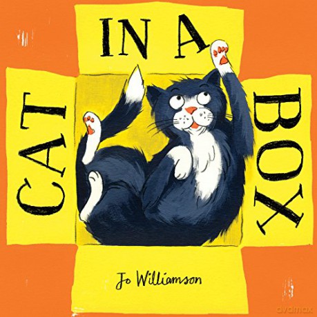 Cat in a Box: 1 - Jo Williamson [KSIĄŻKA]