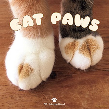 Cat Paws - Pie International [KSIĄŻKA]