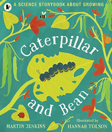 Caterpillar and Bean: A Science Storybook about Growing: 1 - Martin Jenkins [KSIĄŻKA]