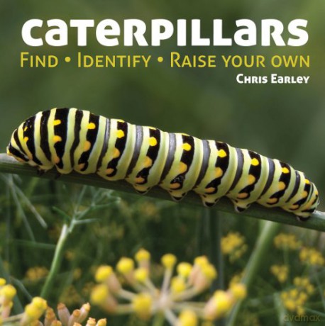 Caterpillars: Find - Identify - Raise Your Own - Chris Earley [KSIĄŻKA]
