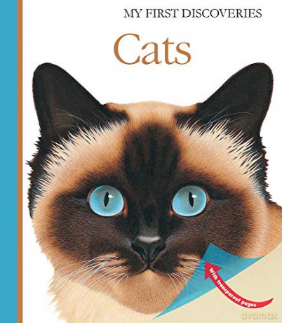 Cats My First Discoveries - Pascale de Bourgoing [KSIĄŻKA]