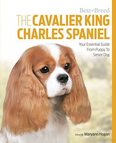 Cavalier King Charles Spaniel Best of Breed: Your Essential Guide from Puppy to Senior Dog - Maryann Hogan [KSIĄŻKA]