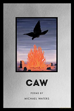Caw: 181 American Poets Continuum Series, 181 - Michael Waters [KSIĄŻKA]