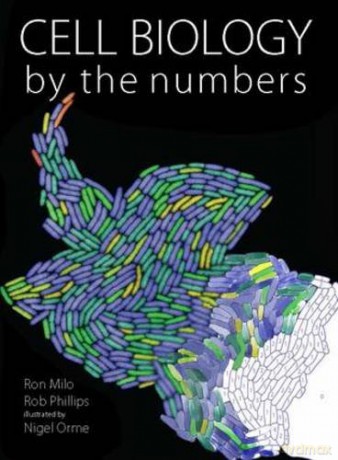 Cell Biology by the Numbers - Ron Milo [KSIĄŻKA]