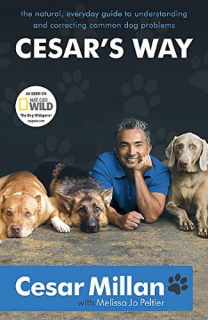 Cesar's Way: The Natural, Everyday Guide to Understanding and Correcting Common Dog Problems - Cesar Millan [KSIĄŻKA]
