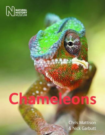 Chameleons - Christopher Mattison [KSIĄŻKA]