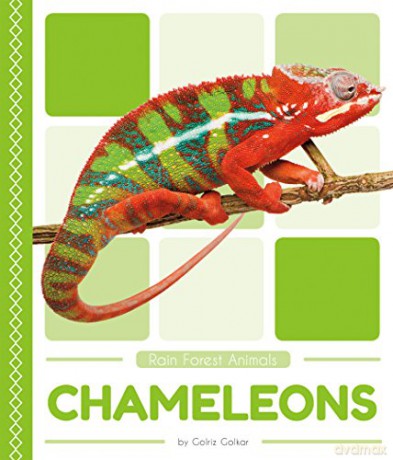 Chameleons Rain Forest Animals - Golriz Golkar [KSIĄŻKA]