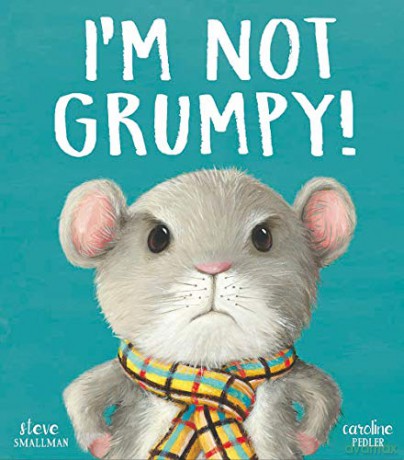 I'M Not Grumpy! - Steve Smallman [KSIĄŻKA]
