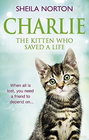Charlie the Kitten Who Saved A Life - Sheila Norton [KSIĄŻKA]