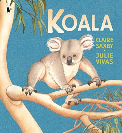 Koala: 1 - Claire Saxby [KSIĄŻKA]
