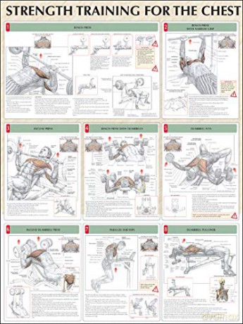 Chest Poster - Frederic Delavier [KSIĄŻKA]