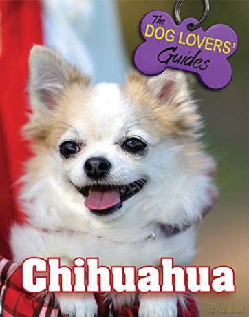 Chihuahua: 18 Dog Lover's Guides - Christine Davies [KSIĄŻKA]