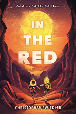 In The Red - Christopher Swiedler [KSIĄŻKA]