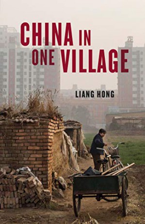 China in One Village: The Story of One Town and the Changing World - Liang Hong [KSIĄŻKA]