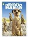 Animal Planet: Rezydencja surykatek [DVD]