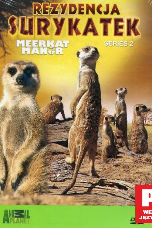 Animal Planet: Rezydencja surykatek [DVD]