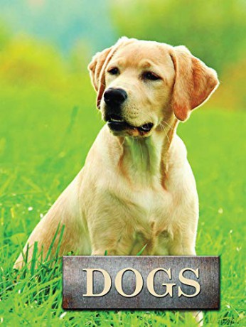 Dogs (Pet Library) - Marcus Schneck [KSIĄŻKA]