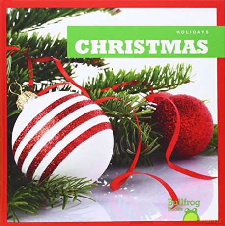 Christmas Holidays - Rebecca Pettiford [KSIĄŻKA]