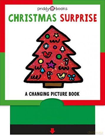 Christmas Surprise Changing Picture Book [KSIĄŻKA]