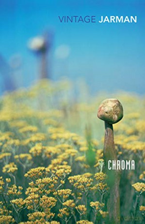 Chroma: A Book of Colour - June '93 - Derek Jarman [KSIĄŻKA]