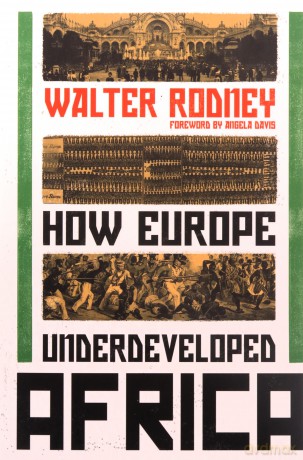 How Europe Underdeveloped Africa - Walter Rodney [KSIĄŻKA]