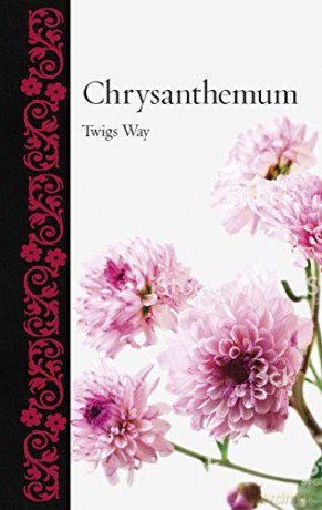 Chrysanthemum Botanical - Twigs Way [KSIĄŻKA]