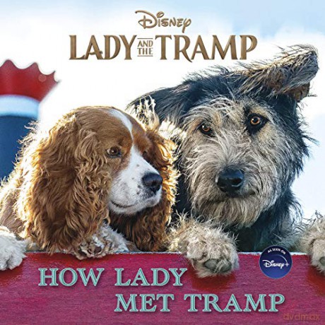 Lady And The Tramp: How Lady Met Tramp - Elle Stephens [KSIĄŻKA]