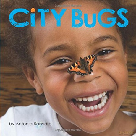 City Bugs - Antonia Banyard [KSIĄŻKA]
