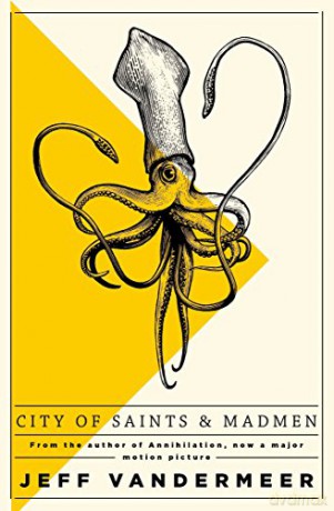 City of Saints and Madmen: Ambergris Ambergris 1 - Jeff VanderMeer [KSIĄŻKA]