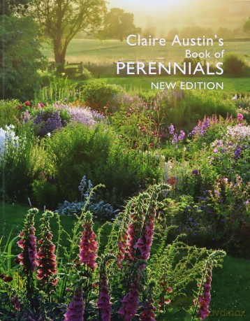 Claire Austin's Book Of Perennials New Edition - Claire Austin [KSIĄŻKA]