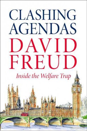 Clashing Agendas: Inside the Welfare Trap - David [KSIĄŻKA]