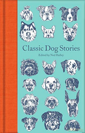 Classic Dog Stories Macmillan Collector's Library [KSIĄŻKA]