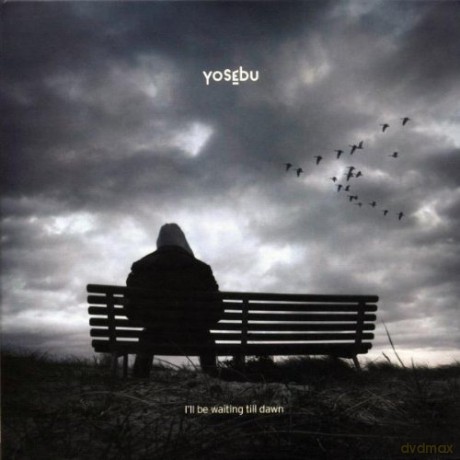 I'll Be Waiting Till Dawn [CD]