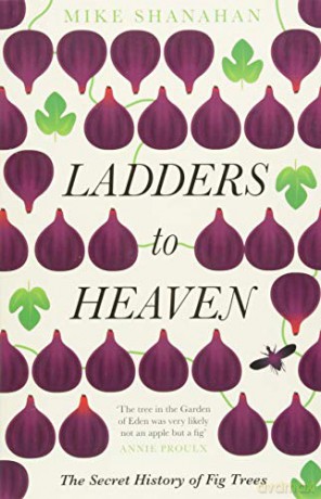 Ladders To Heaven - Mike Shanahan [KSIĄŻKA]
