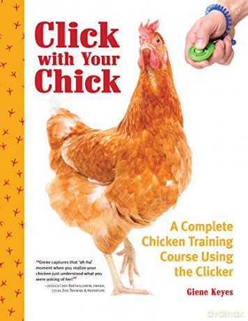 Click with Your Chick: A Complete Chicken Training Course Using the Clicker CompanionHouse Books Train Hens to Come When Called, Perch on Your Arm, Do Tricks, and More, with Positive Reinforcement - Giene Keyes [KSIĄŻKA]