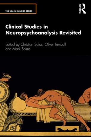 Clinical Studies in Neuropsychoanalysis Revisited The Brain Injuries Series - Christian Salas [KSIĄŻKA]