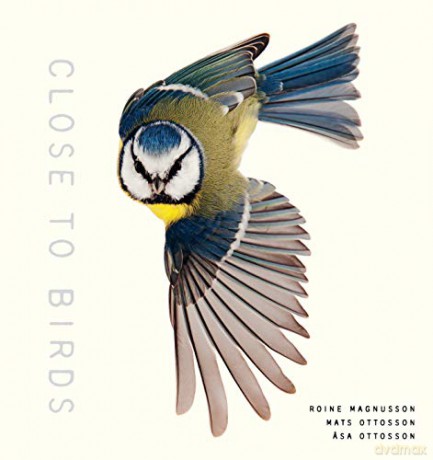 Close to Birds: An Intimate Look at Our Feathered Friends - Roine Magnusson [KSIĄŻKA]