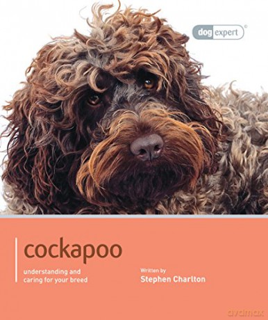 Cockapoo - Dog Expert [KSIĄŻKA]