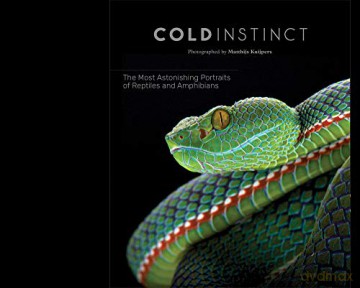 Cold Instinct - Matthijs Kuijpers [KSIĄŻKA]