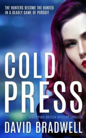 Cold Press: A Gripping British Mystery Thriller - Anna Burgin Series Book 1 - David Bradwell [KSIĄŻKA]